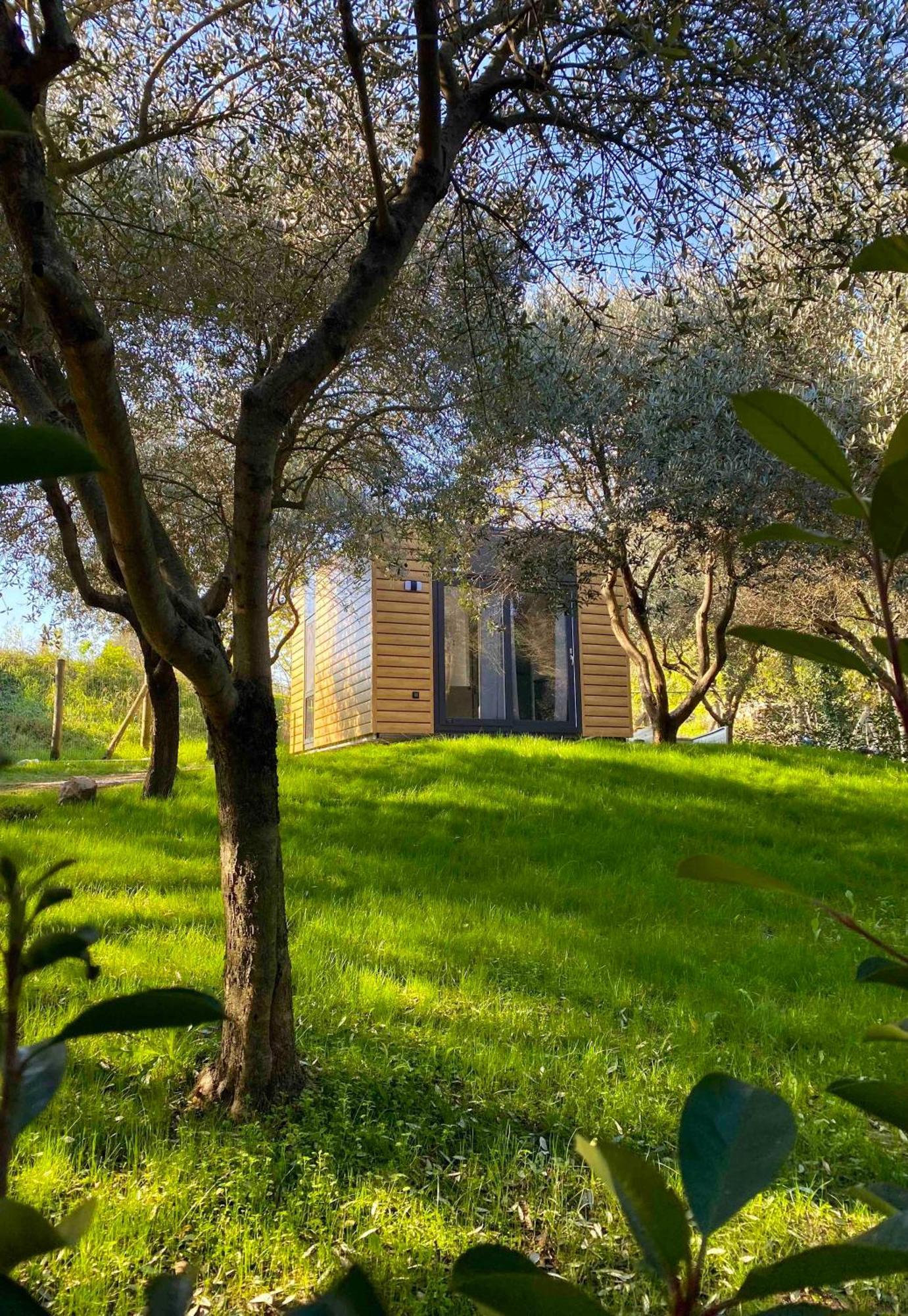 Seregner Agricamping & Homes - Adults Only 18 Monzambano Exterior photo